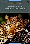 Magia en Indonesia